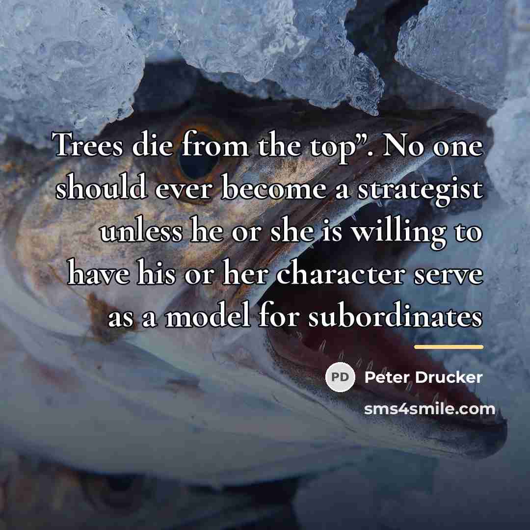 “Trees die from the top”. No one should ever become…” quote by Peter Drucker