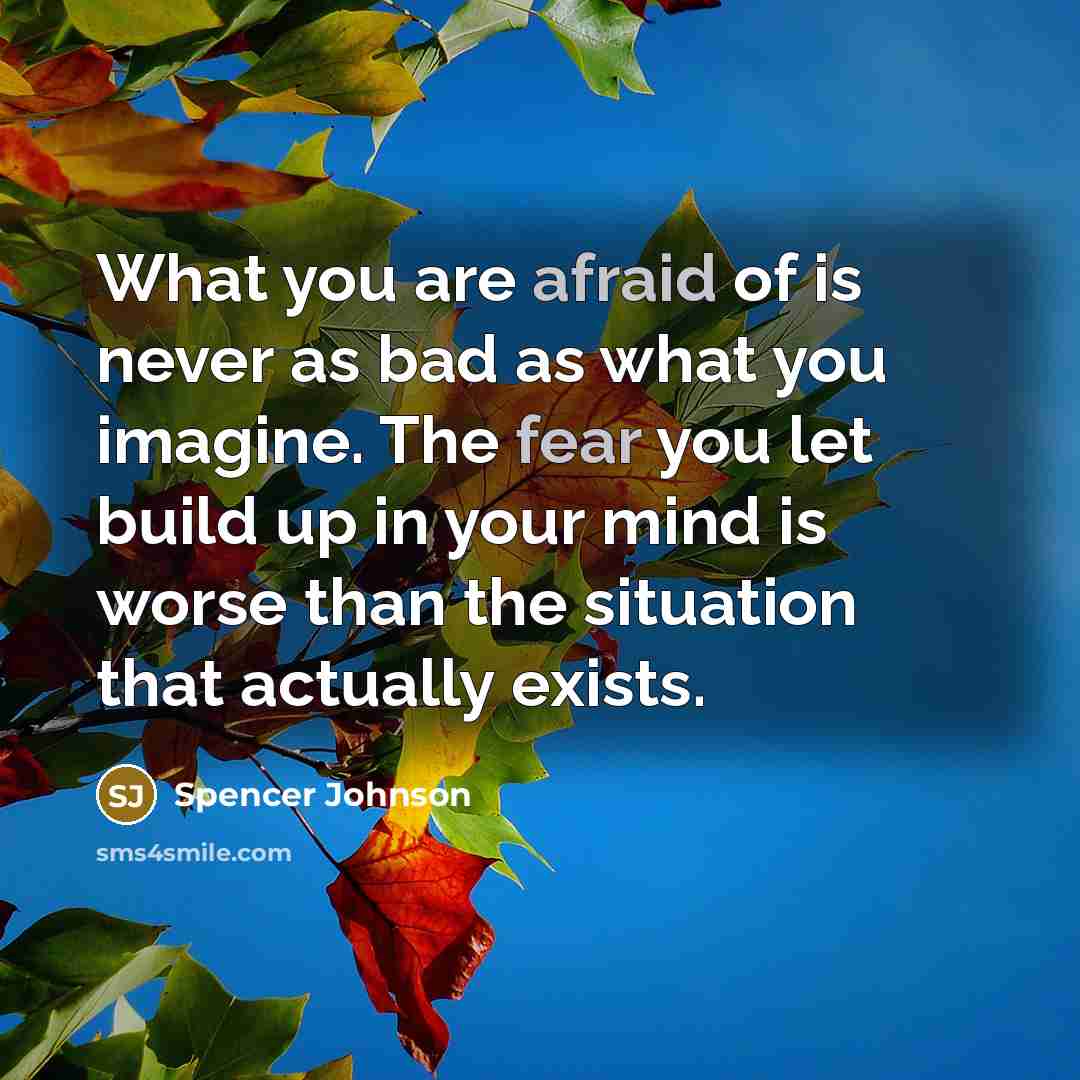 “What you are afraid of is never as bad as what you imagine. The fear you let build up in your mind is worse than the situation that actually exists.” quote by Spencer Johnson