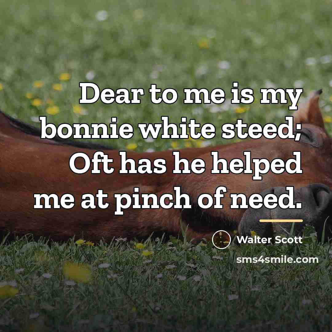 “Dear to me is my bonnie white steed; Oft has…” quote by Walter Scott