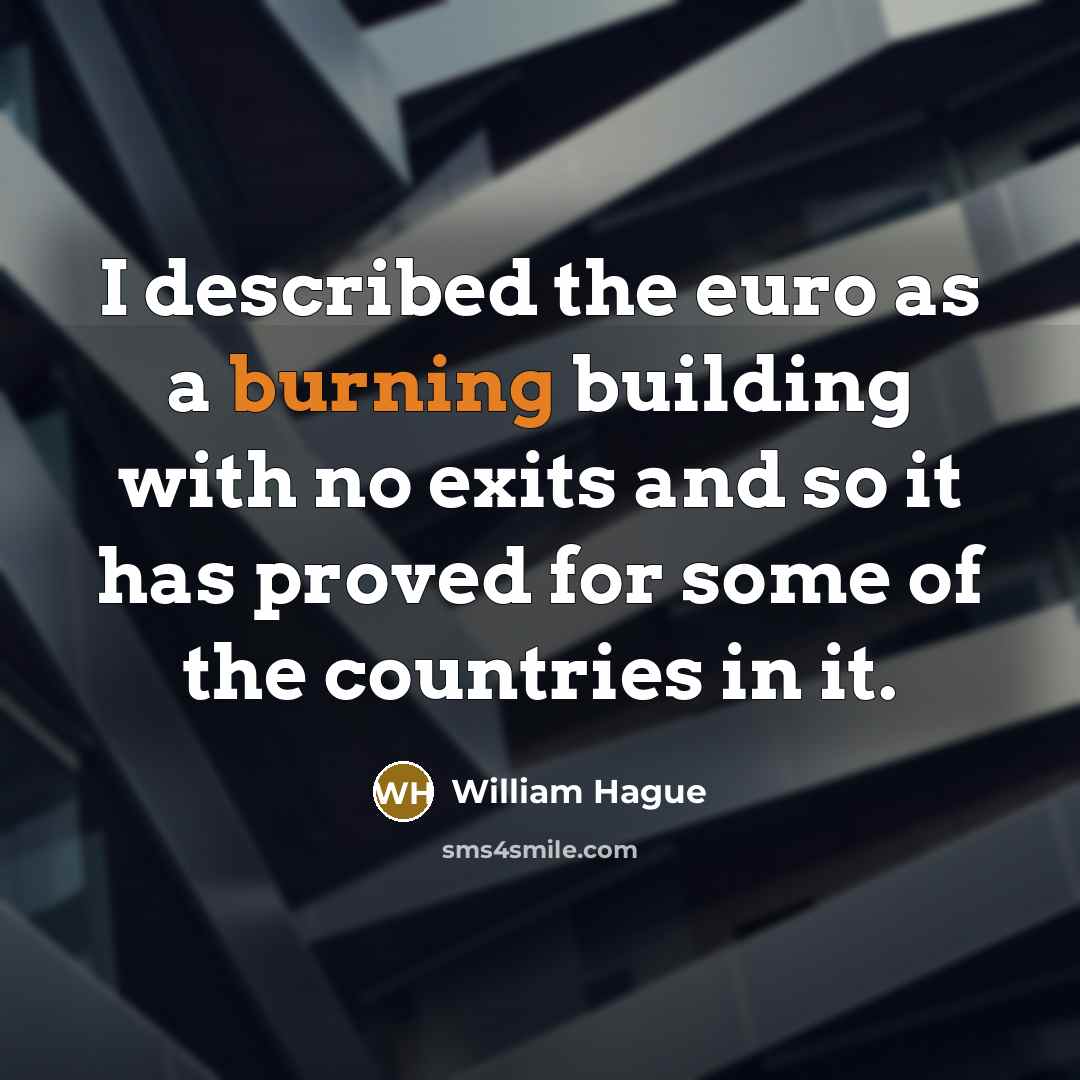 “I described the euro as a burning building with no…” quote by William Hague