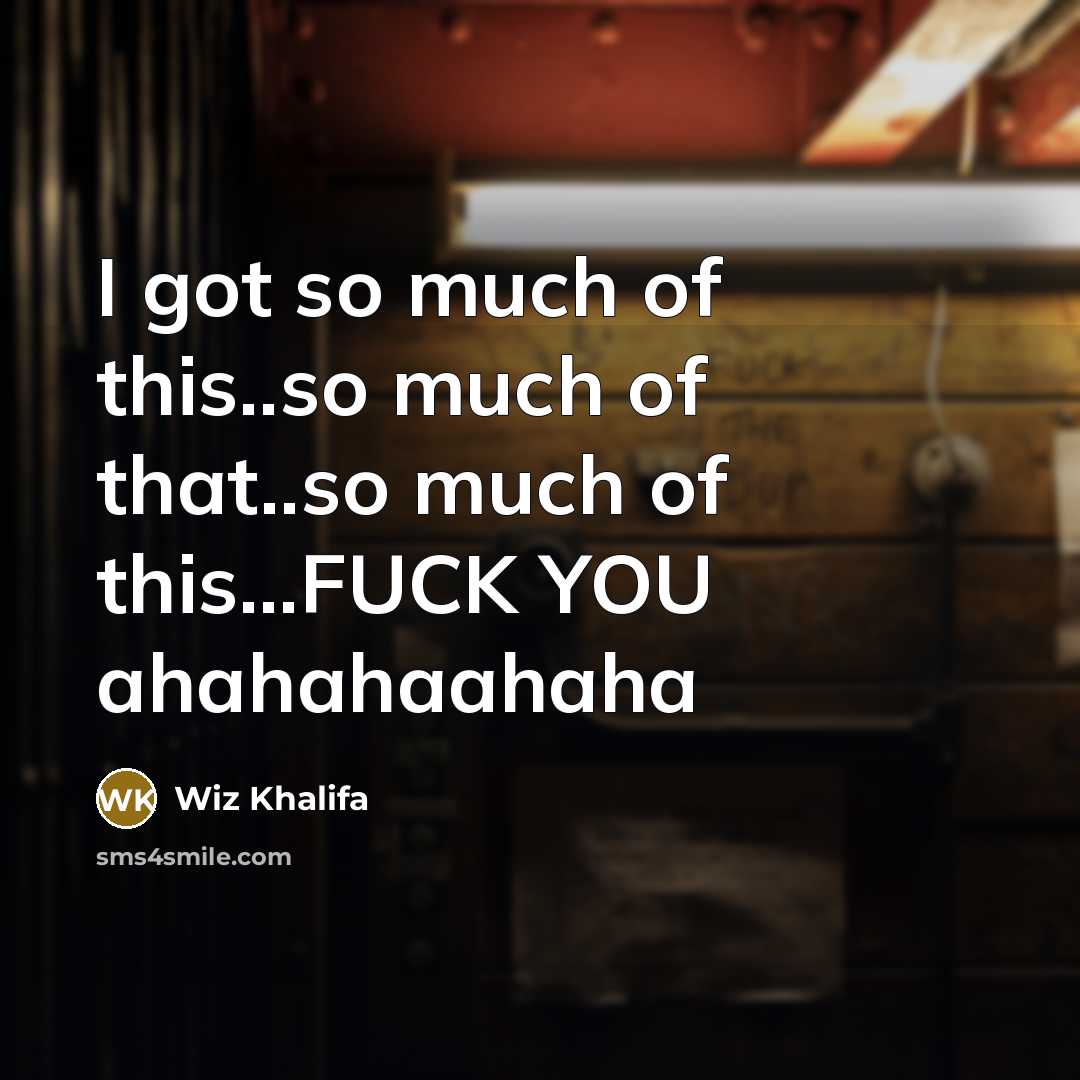 “I got so much of this..so much of that..so much of this...FUCK YOU ahahahaahaha” quote by Wiz Khalifa