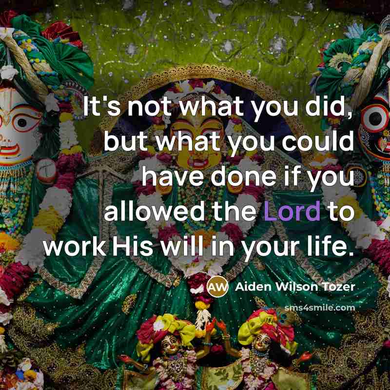 “It's not what you did, but what you could have…” quote by Aiden Wilson Tozer