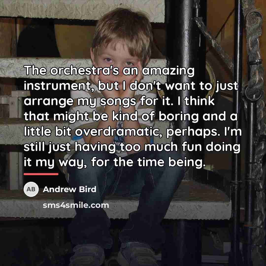 “The orchestra's an amazing instrument, but I don't want to…” quote by Andrew Bird