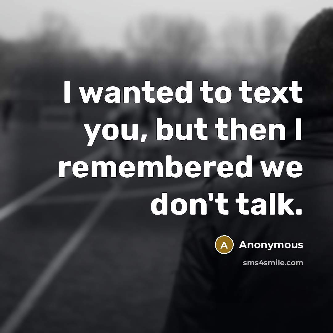 “I wanted to text you, but then I remembered we…” quote by Anonymous