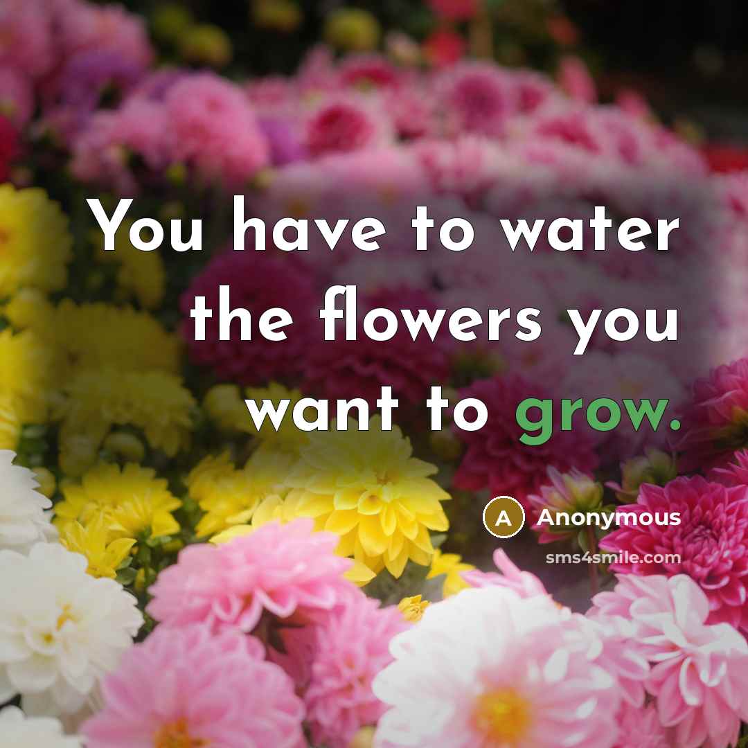 “You have to water the flowers you want to grow.…” quote by Anonymous