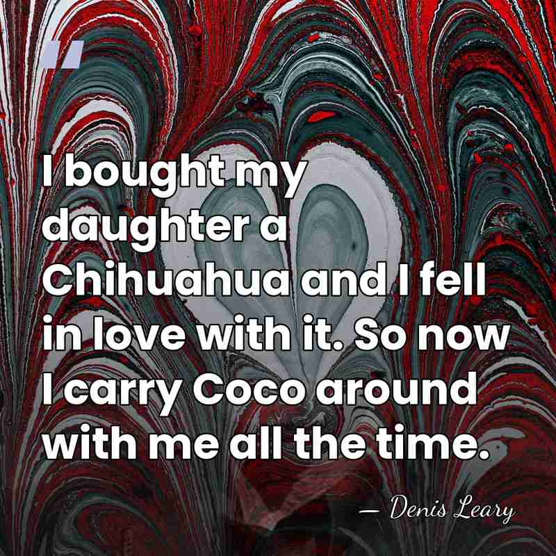 I bought my daughter a Chihuahua and I fell in love with&hellip; - Denis Leary