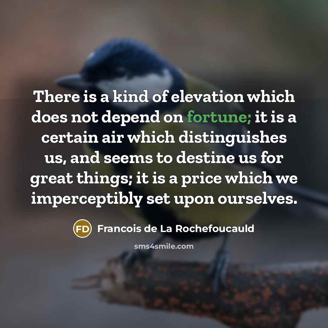 “There is a kind of elevation which does not depend…” quote by Francois de La Rochefoucauld