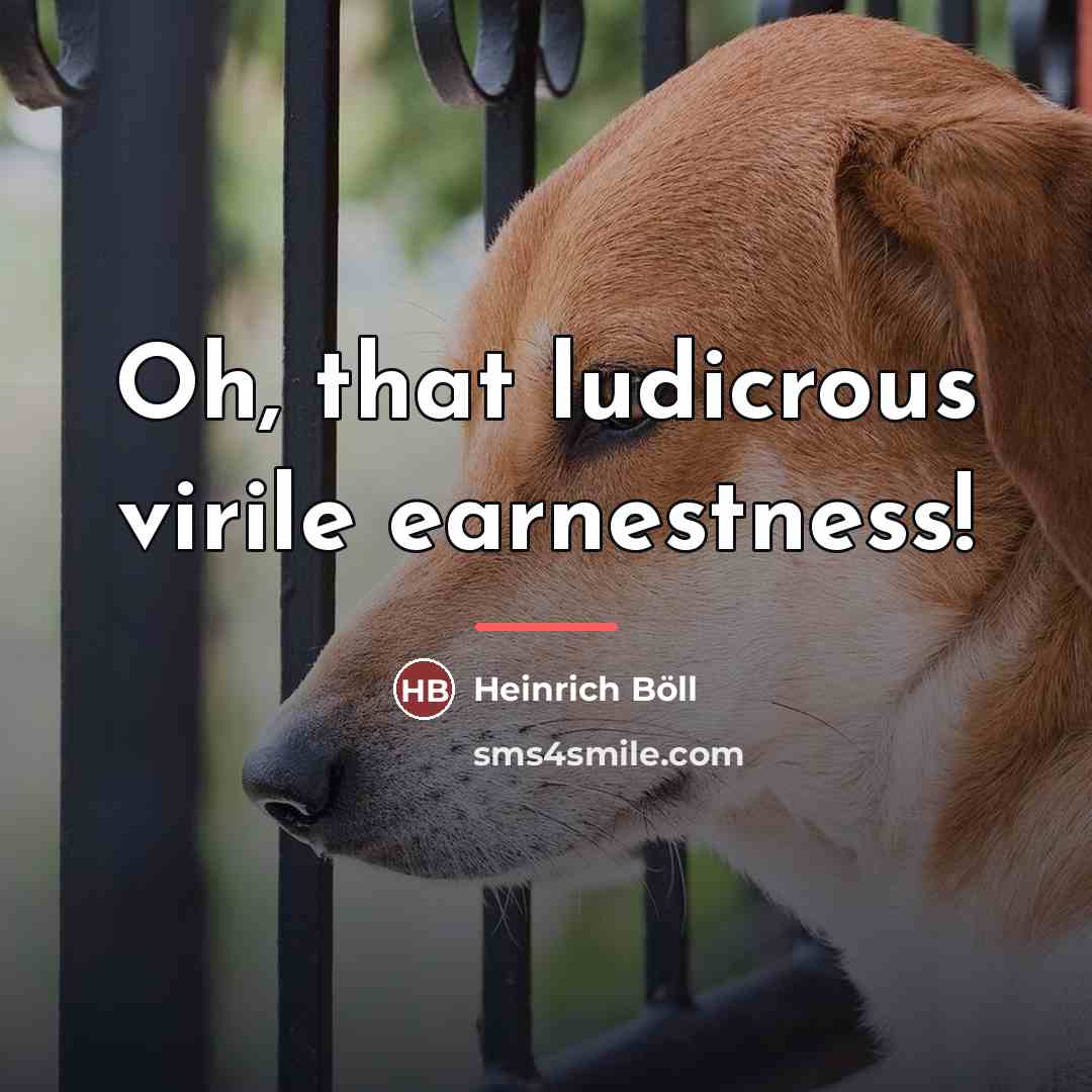 “Oh, that ludicrous virile earnestness!…” quote by Heinrich Böll