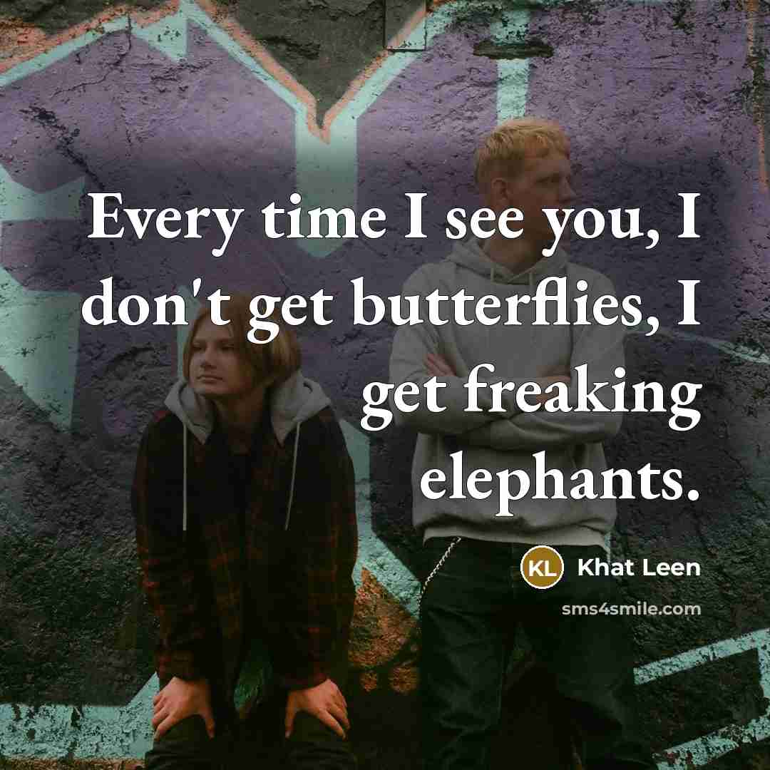 “Every time I see you, I don't get butterflies, I…” quote by Khat Leen