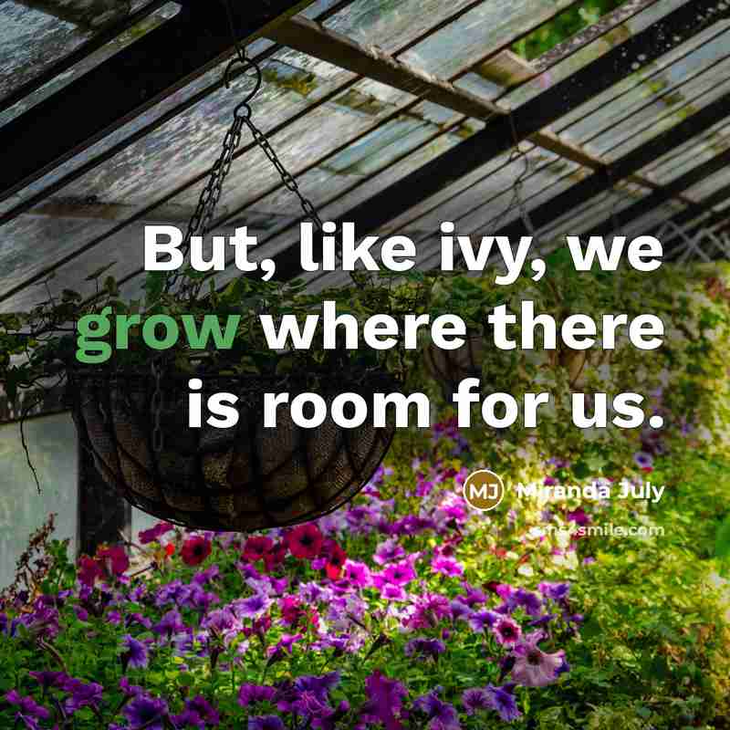 “But, like ivy, we grow where there is room for…” quote by Miranda July