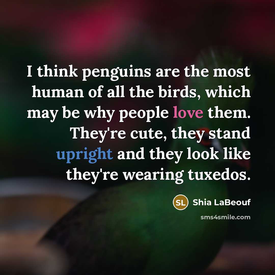 “I think penguins are the most human of all the…” quote by Shia LaBeouf