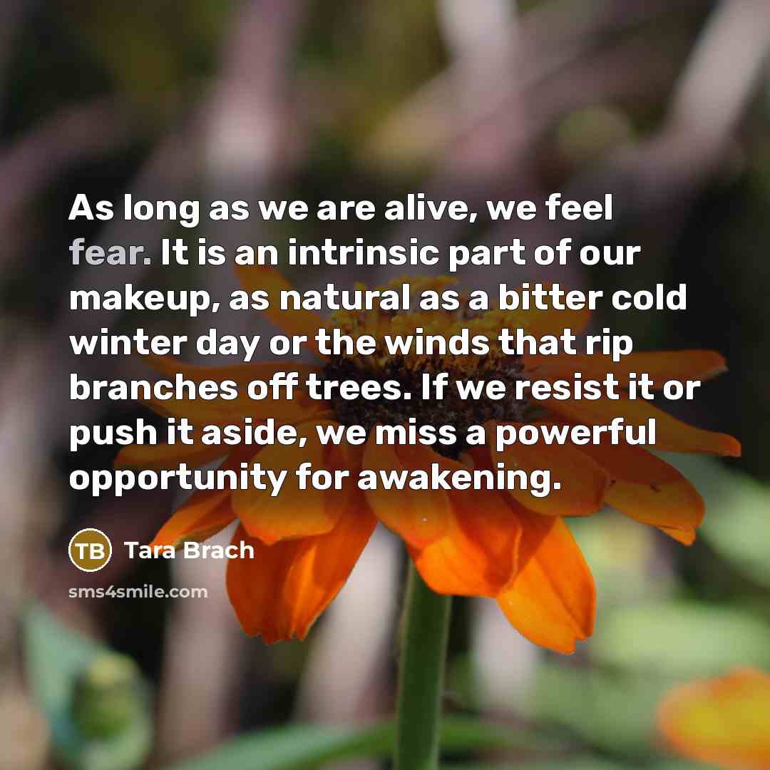 “As long as we are alive, we feel fear. It…” quote by Tara Brach