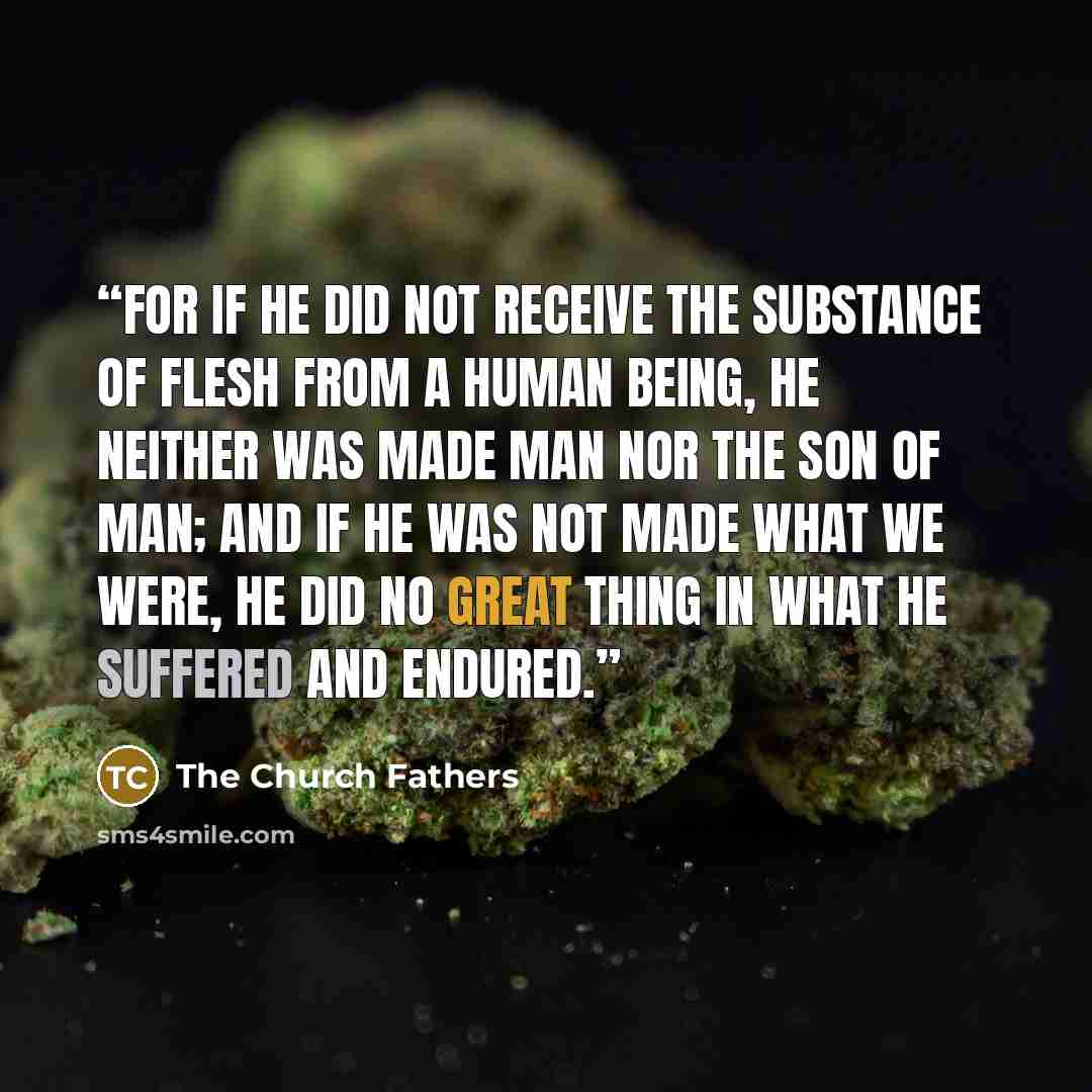 “For if He did not receive the substance of flesh from a human being, He neither was made man nor the Son of man; and if He was not made what we were, He did no great thing in what He suffered and endured.” quote by The Church Fathers