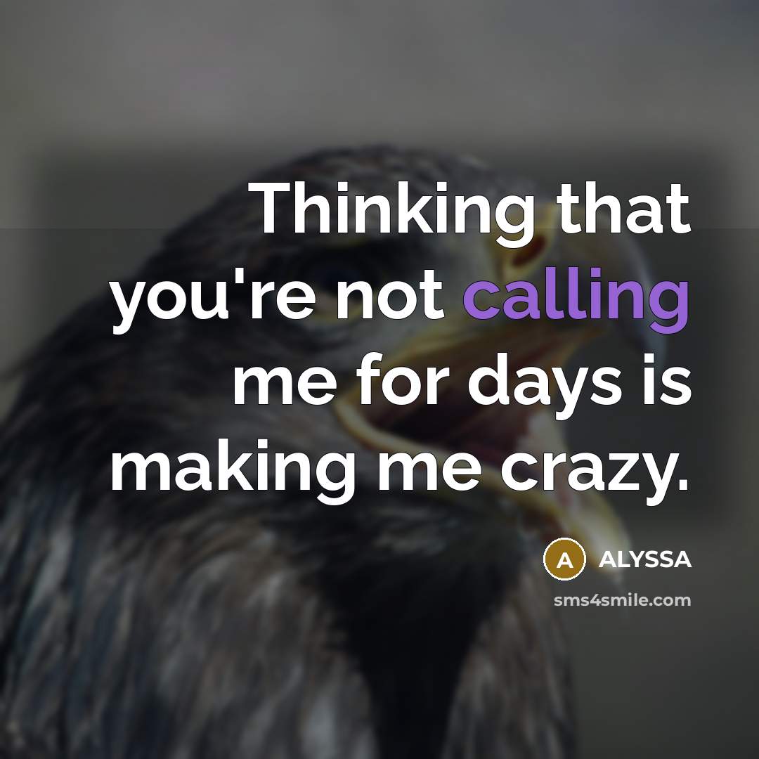 “Thinking that you're not calling me for days is making me crazy.” quote by ALYSSA