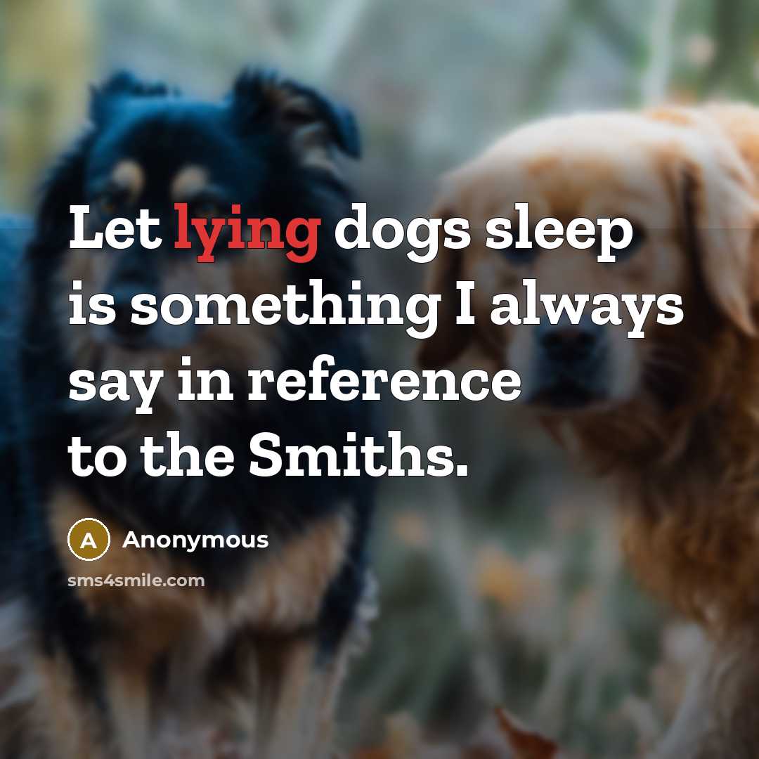 “Let lying dogs sleep is something I always say in…” quote by Anonymous