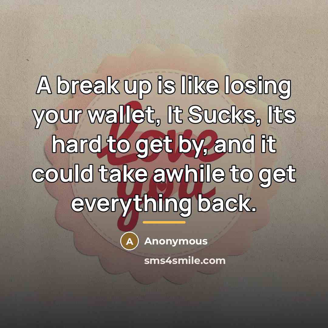 “A break up is like losing your wallet, It Sucks,…” quote by Anonymous
