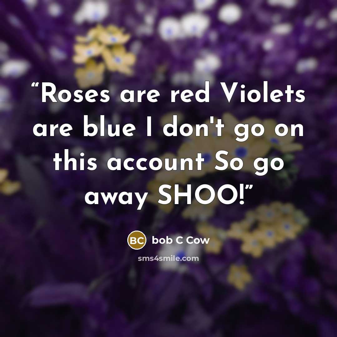 “Roses are red Violets are blue I don't go on this account So go away SHOO!” quote by bob C Cow