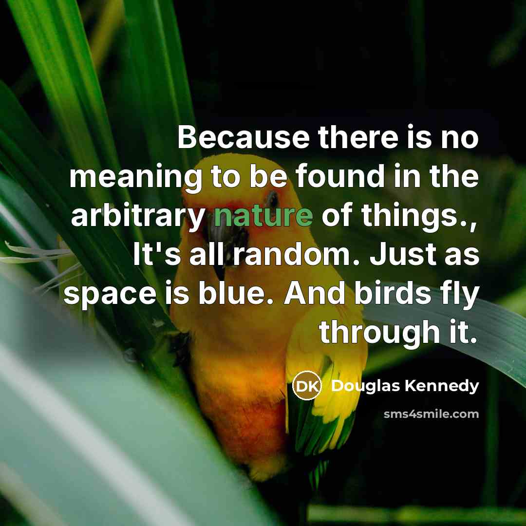 “Because there is no meaning to be found in the…” quote by Douglas Kennedy