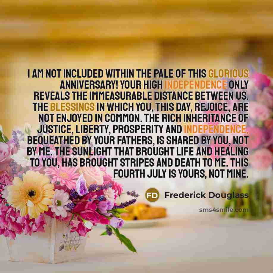 “I am not included within the pale of this glorious…” quote by Frederick Douglass
