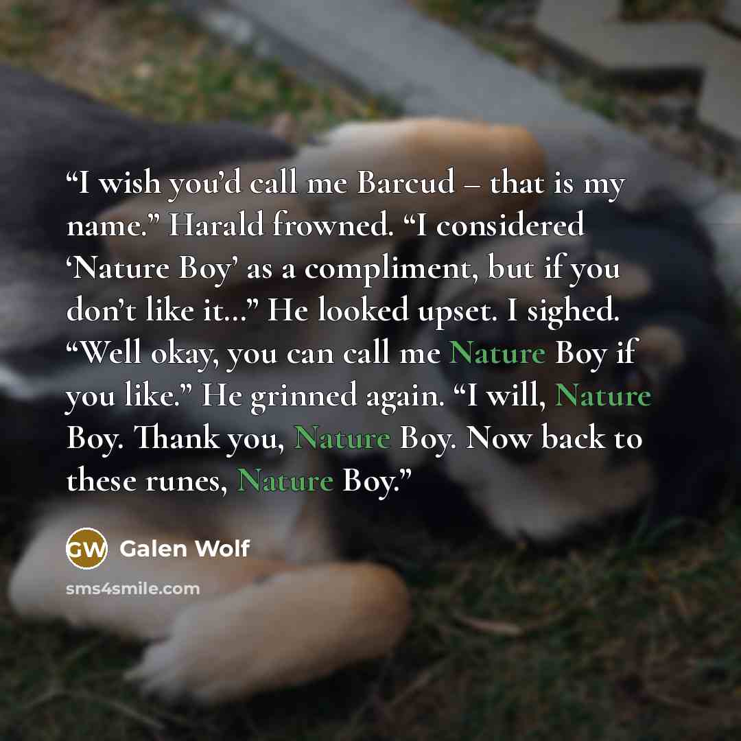 “I wish you’d call me Barcud – that is my name.” Harald frowned. “I considered ‘Nature Boy’ as a compliment, but if you don’t like it…” He looked upset. I sighed. “Well okay, you can call me Nature Boy if you like.” He grinned again. “I will, Nature Boy. Thank you, Nature Boy. Now back to these…” quote by Galen Wolf
