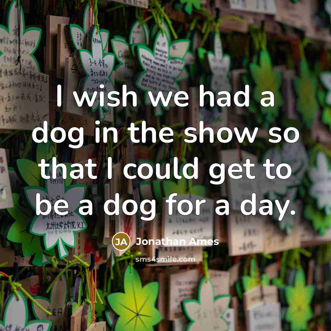 “I wish we had a dog in the show so…” quote by Jonathan Ames