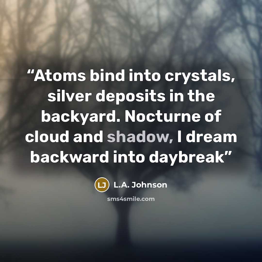 “Atoms bind into crystals, silver deposits in the backyard. Nocturne of cloud and shadow, I dream backward into daybreak” quote by L.A. Johnson