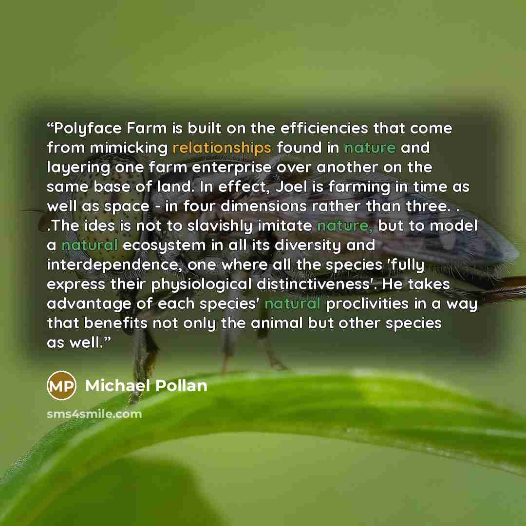 “Polyface Farm is built on the efficiencies that come from mimicking relationships found in nature and layering one farm enterprise over another on the same base of land. In effect, Joel is farming in time as well as space - in four dimensions rather than three. . .The ides is not to slavishly…” quote by Michael Pollan