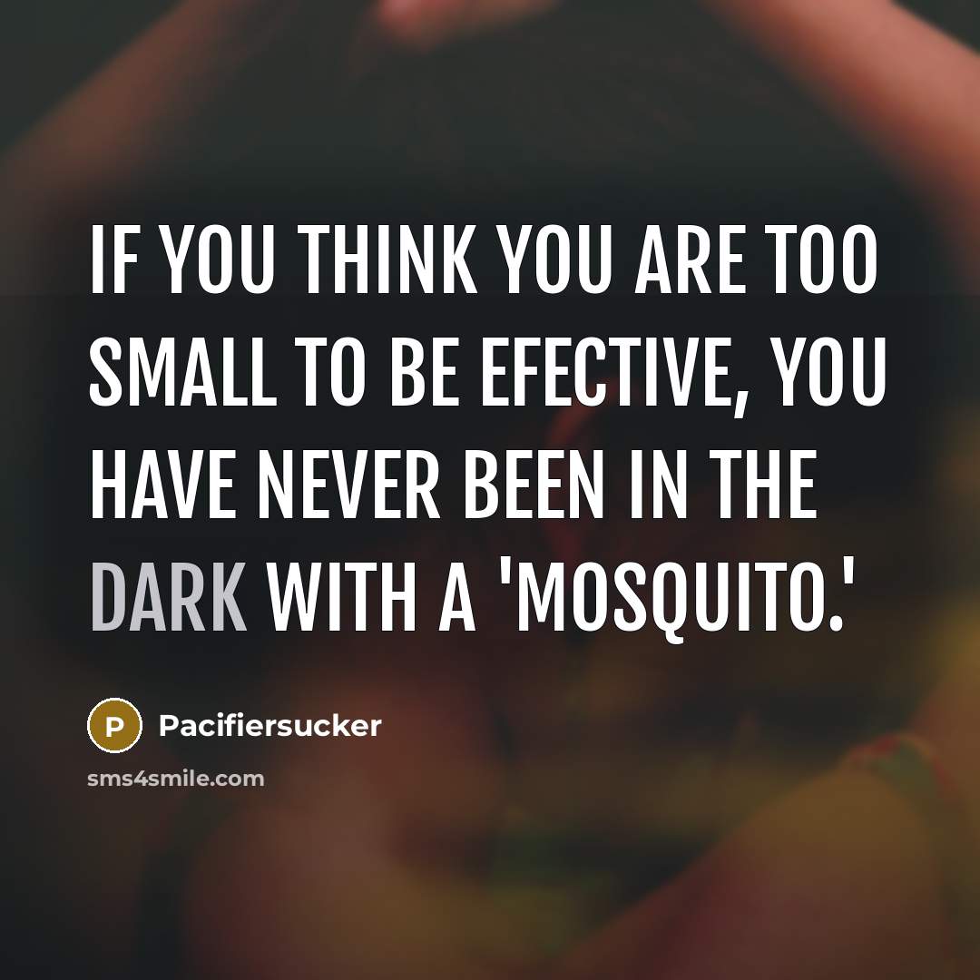 “If you think You are too small to be efective,…” quote by Pacifiersucker