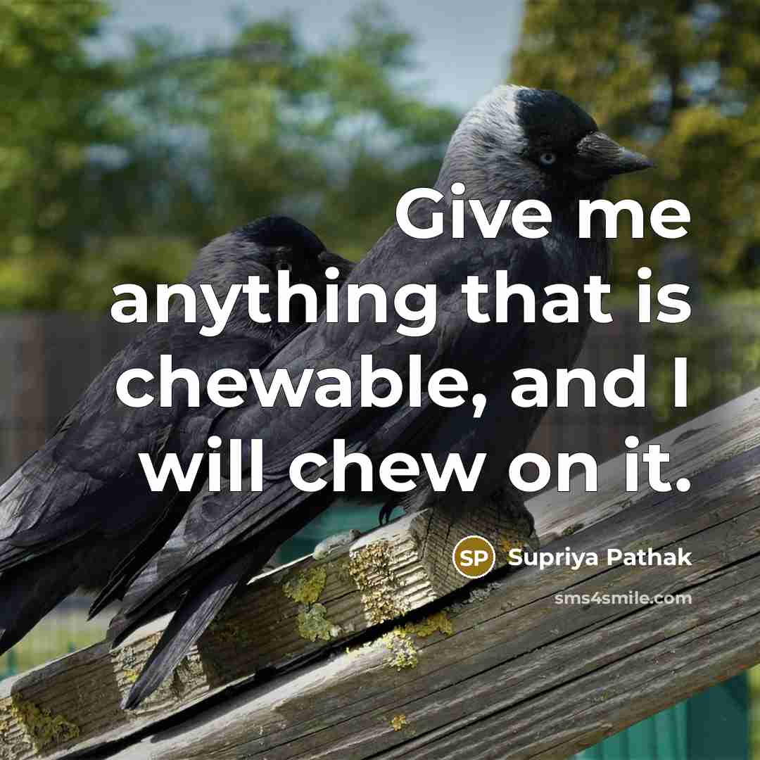 “Give me anything that is chewable, and I will chew…” quote by Supriya Pathak