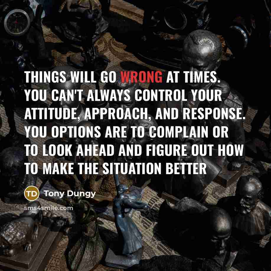“Things will go wrong at times. You can't always control…” quote by Tony Dungy