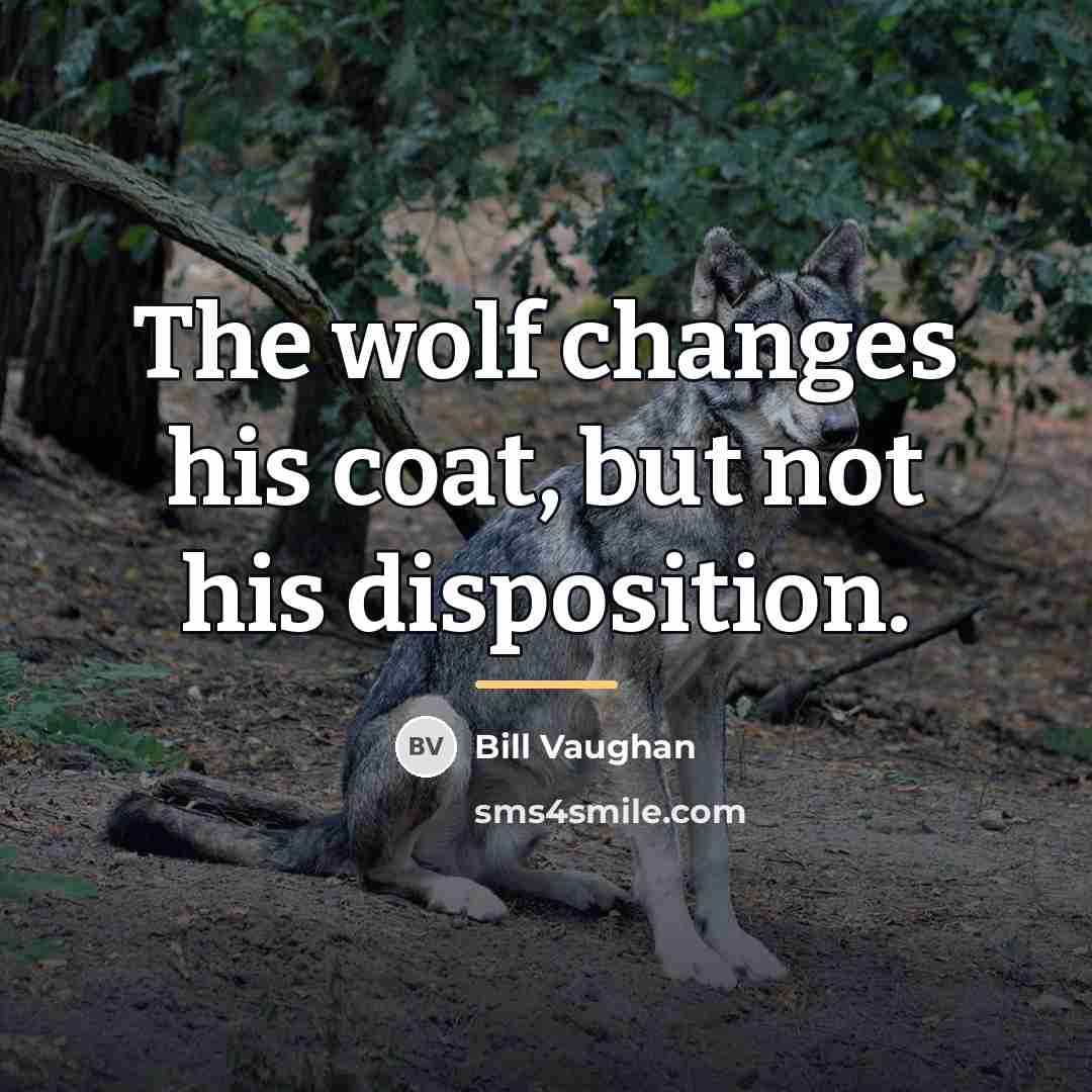 “The wolf changes his coat, but not his disposition.…” quote by Bill Vaughan