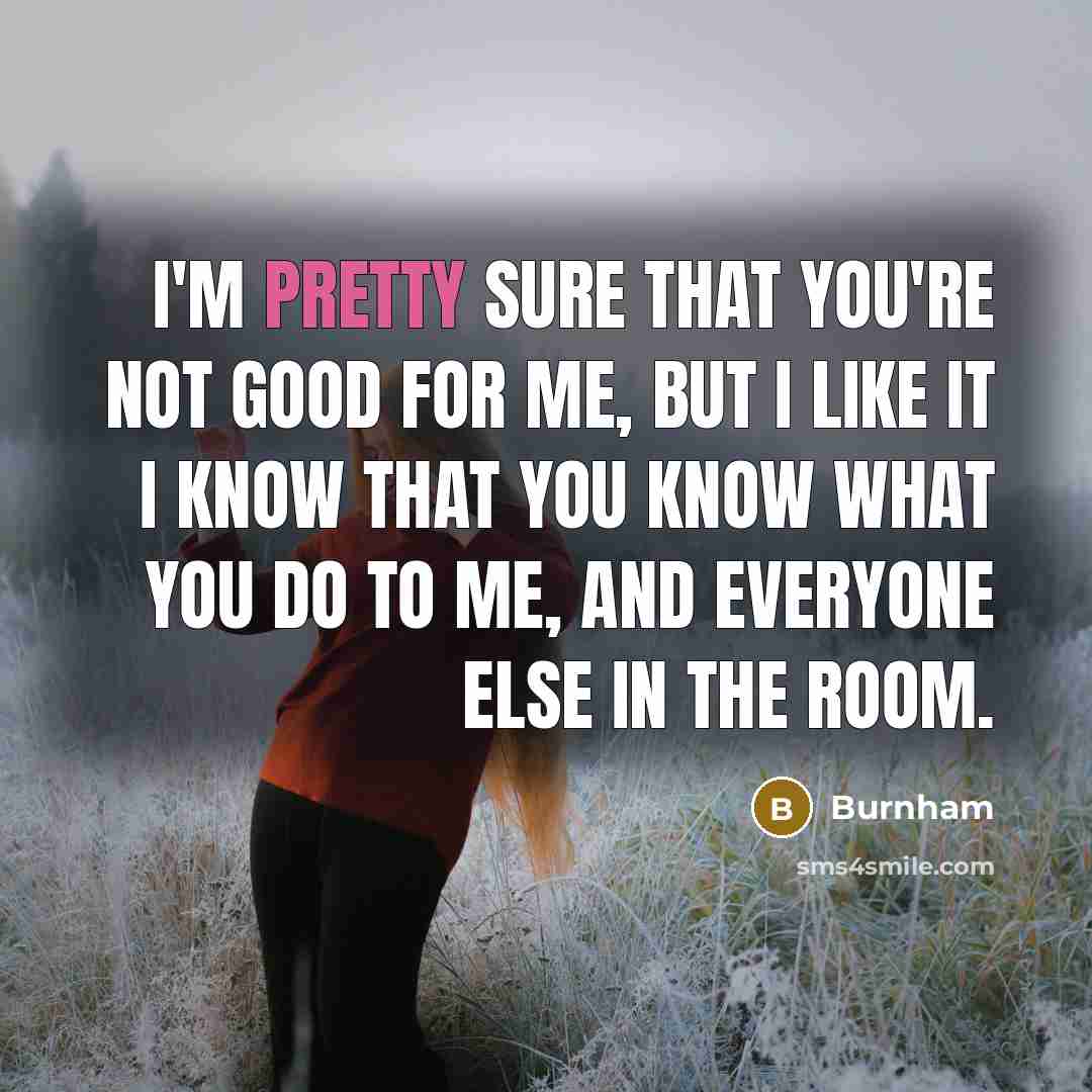 “I'm pretty sure that you're not good for me, but…” quote by Burnham