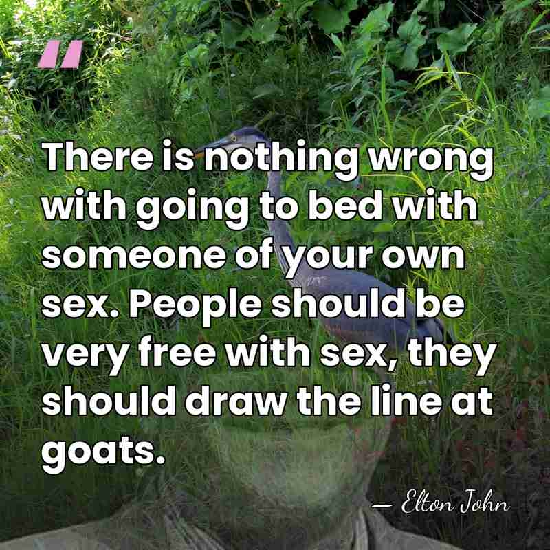 There is nothing wrong with going to bed with someone of your&hellip; - Elton John