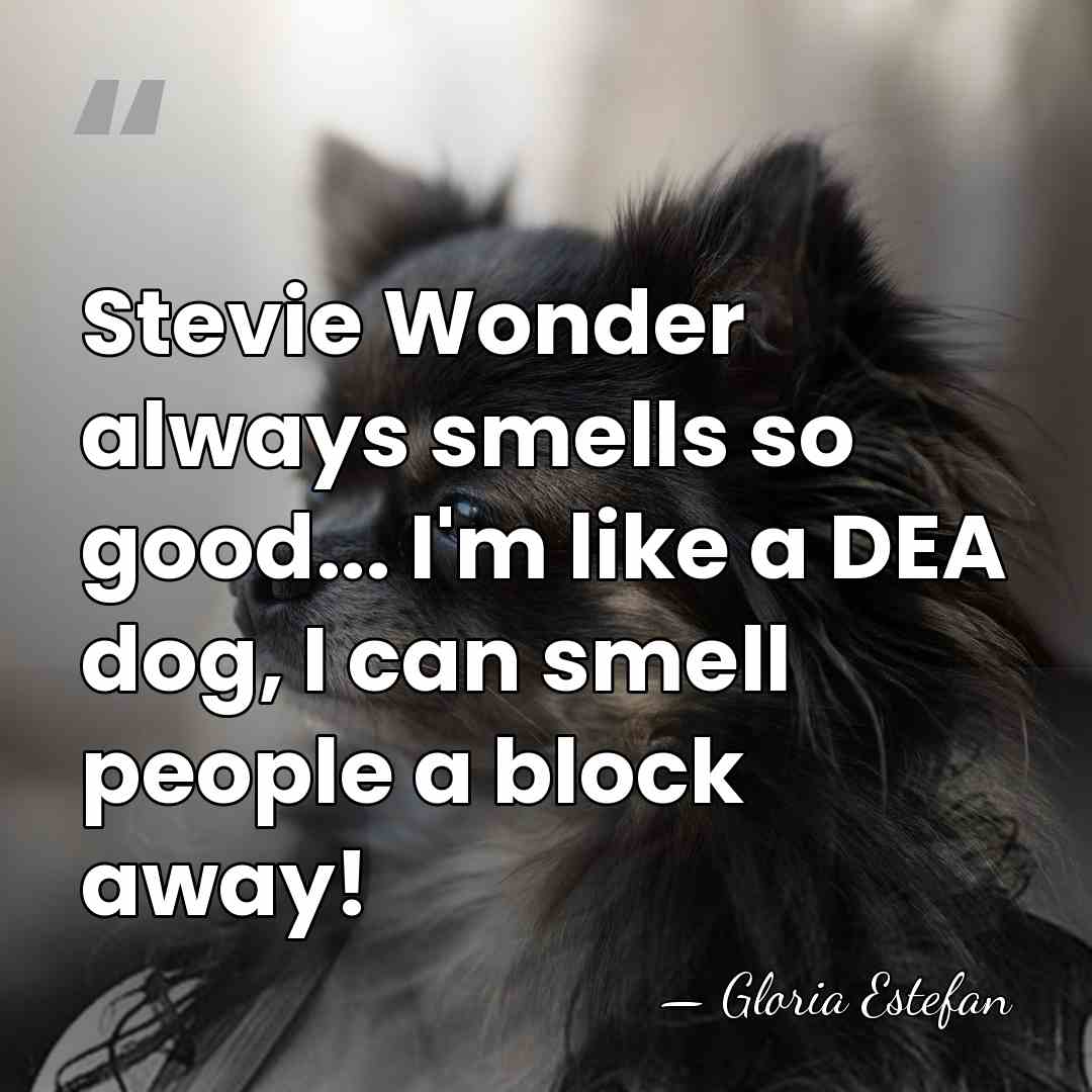 Stevie Wonder always smells so good... I'm like a DEA dog, I&hellip; - Gloria Estefan