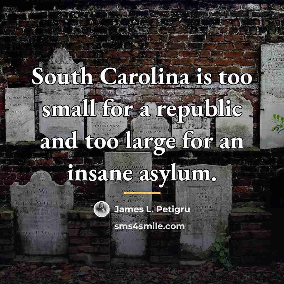 “South Carolina is too small for a republic and too…” quote by James L. Petigru