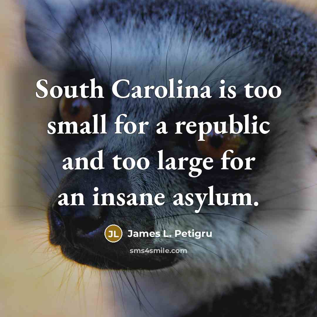 “South Carolina is too small for a republic and too large for an insane asylum.” quote by James L. Petigru