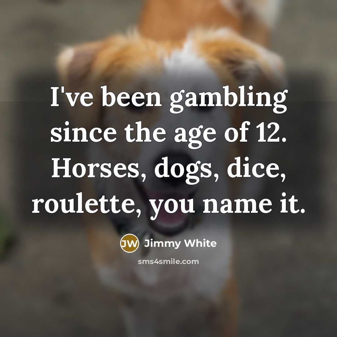 “I've been gambling since the age of 12. Horses, dogs,…” quote by Jimmy White