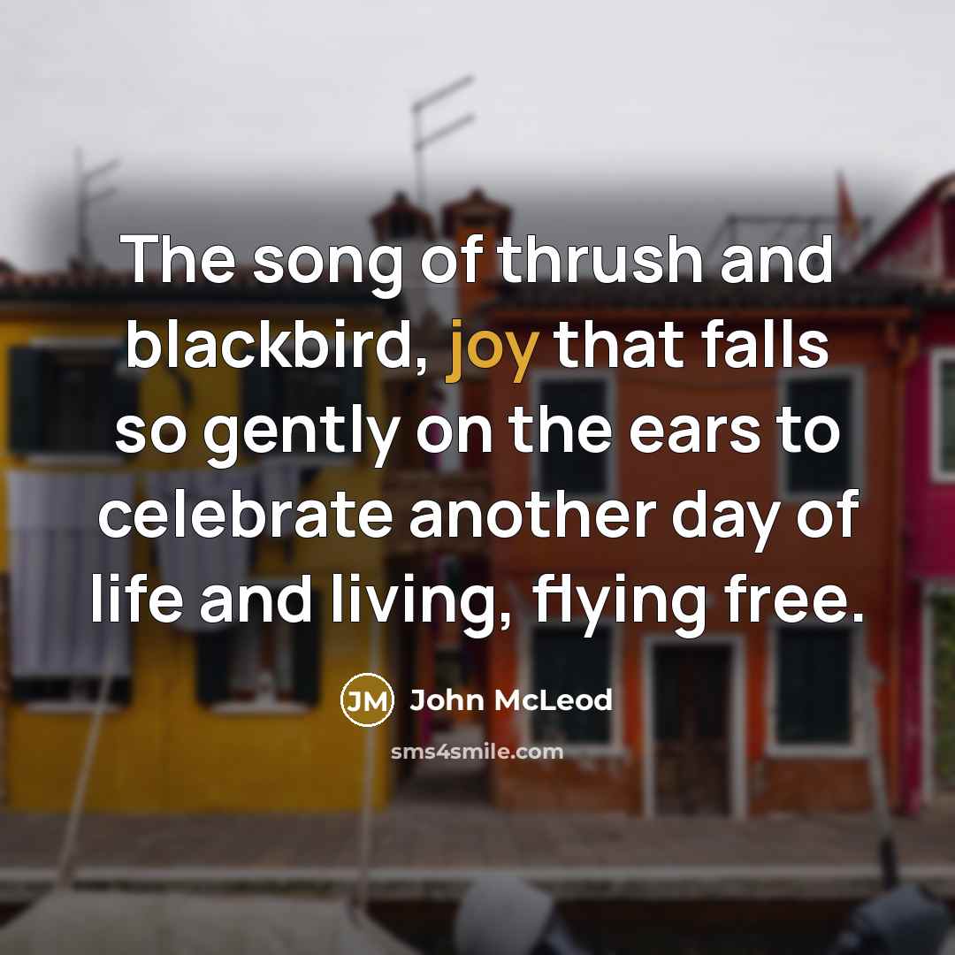 “The song of thrush and blackbird, joy that falls so…” quote by John McLeod