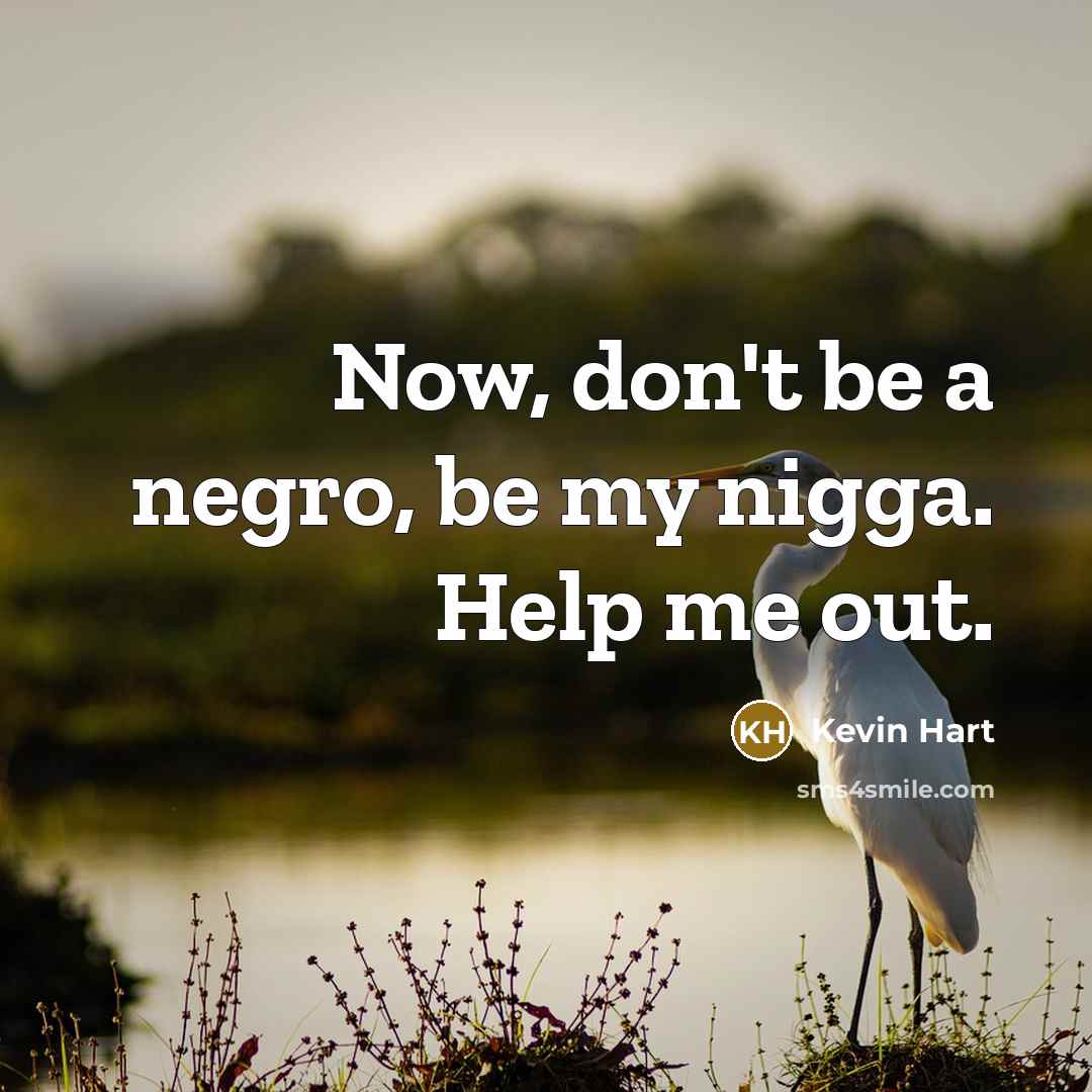 “Now, don't be a negro, be my nigga. Help me…” quote by Kevin Hart