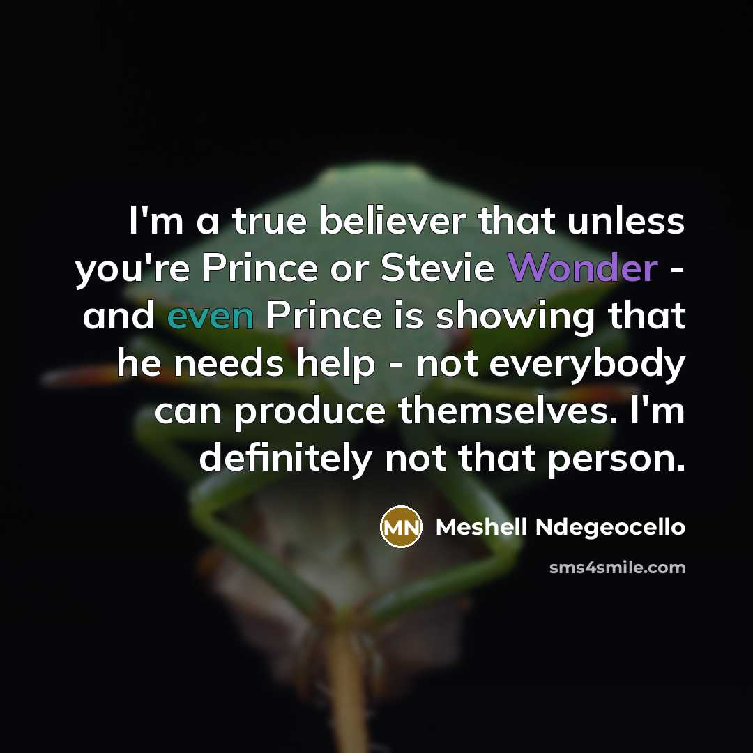 “I'm a true believer that unless you're Prince or Stevie…” quote by Meshell Ndegeocello
