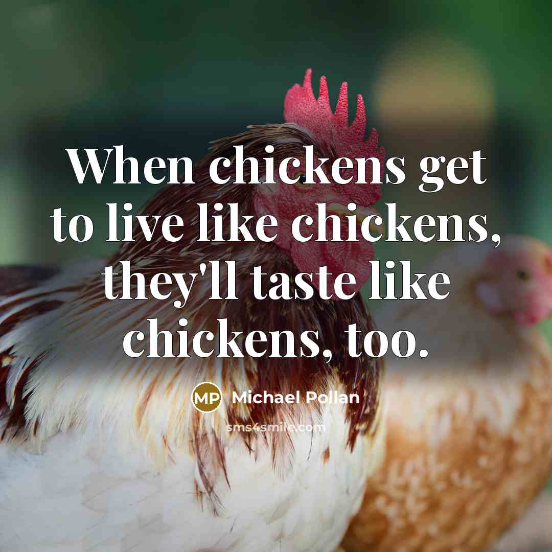 “When chickens get to live like chickens, they'll taste like…” quote by Michael Pollan