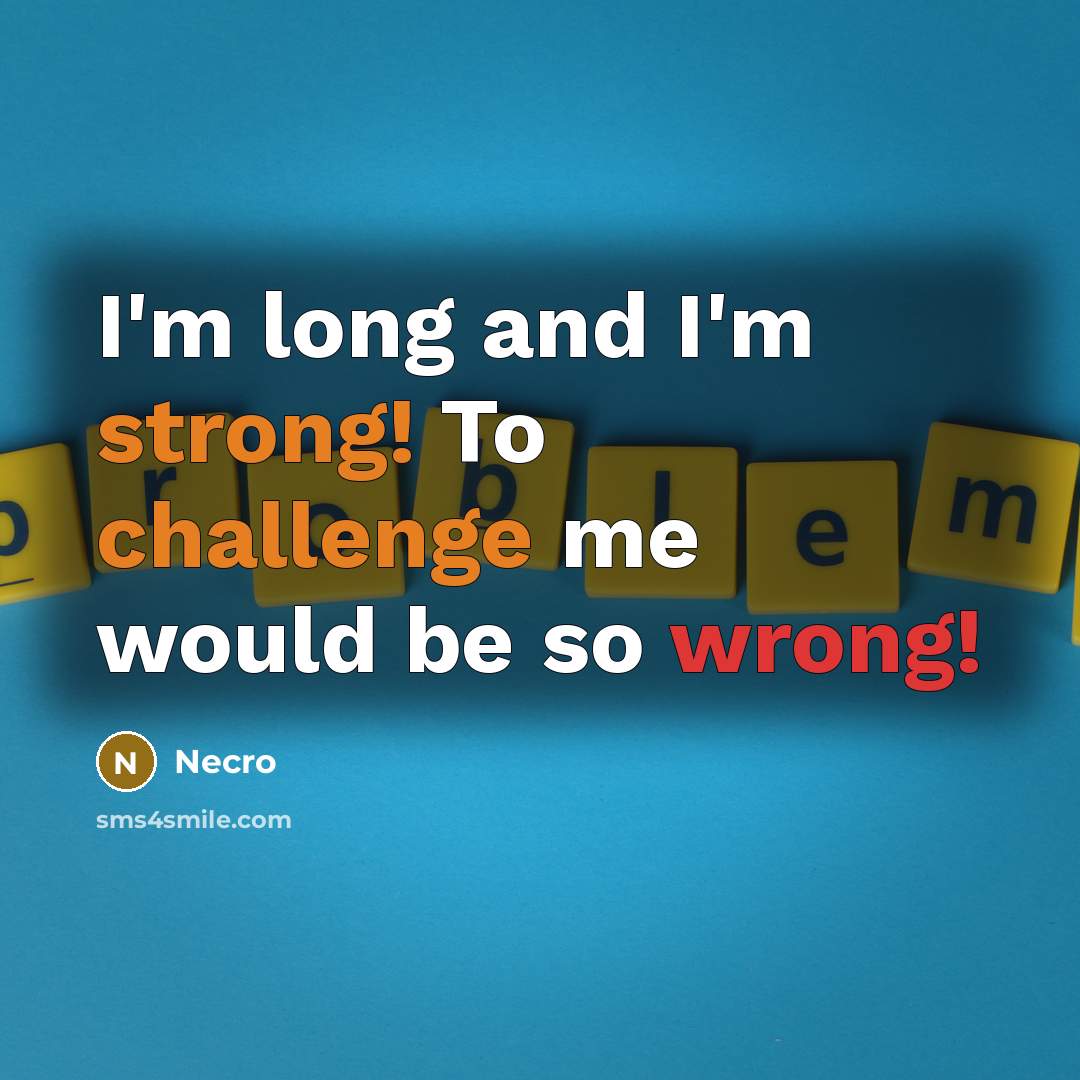 “I'm long and I'm strong! To challenge me would be so wrong!” quote by Necro