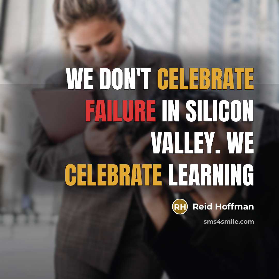 “We don't celebrate failure in Silicon Valley. We celebrate learning…” quote by Reid Hoffman