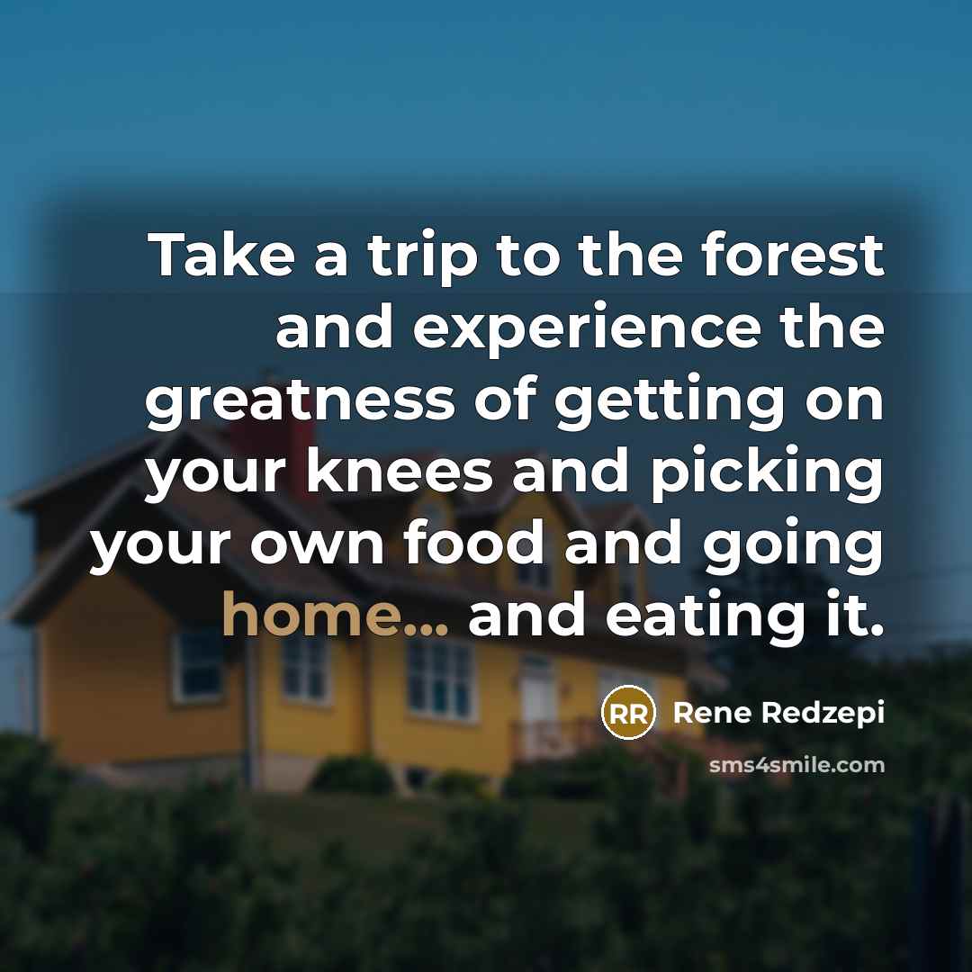 “Take a trip to the forest and experience the greatness…” quote by Rene Redzepi