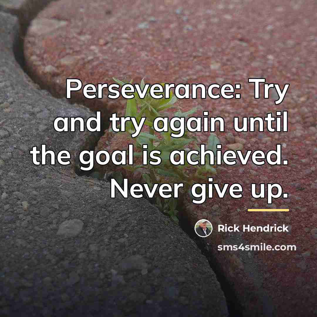 “Perseverance: Try and try again until the goal is achieved.…” quote by Rick Hendrick