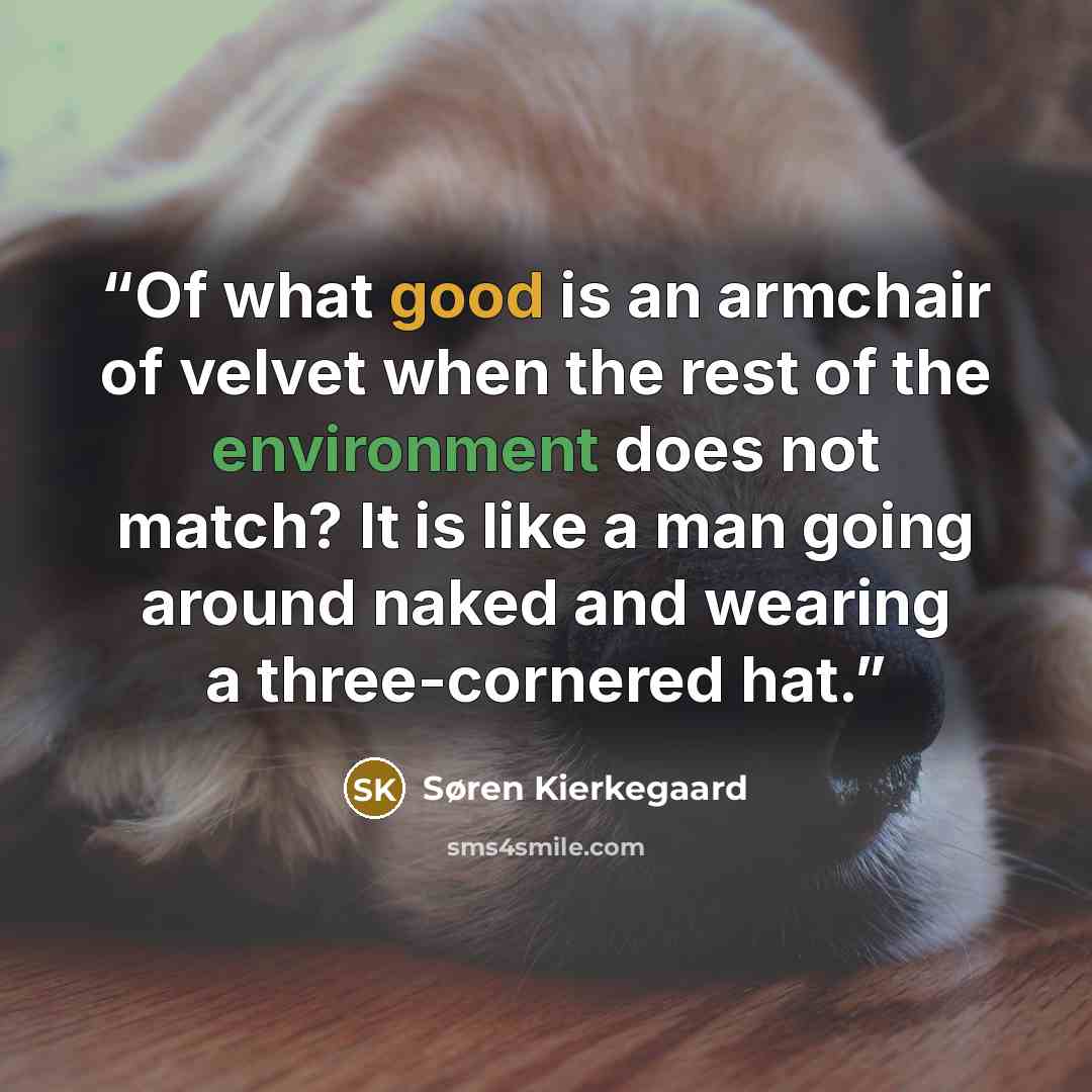 “Of what good is an armchair of velvet when the rest of the environment does not match? It is like a man going around naked and wearing a three-cornered hat.” quote by Søren Kierkegaard