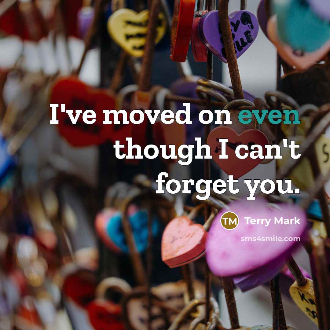 “I've moved on even though I can't forget you.…” quote by Terry Mark