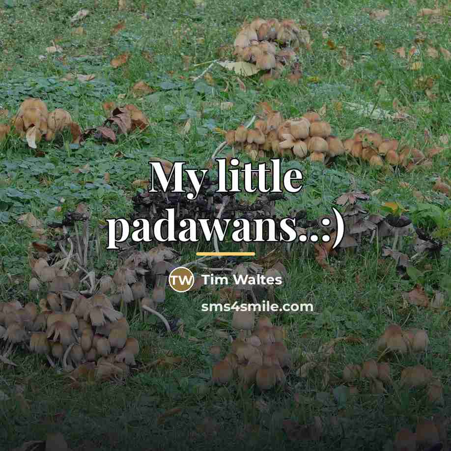 “My little padawans..:)…” quote by Tim Waltes