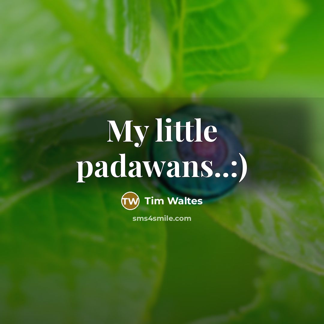“My little padawans..:)” quote by Tim Waltes