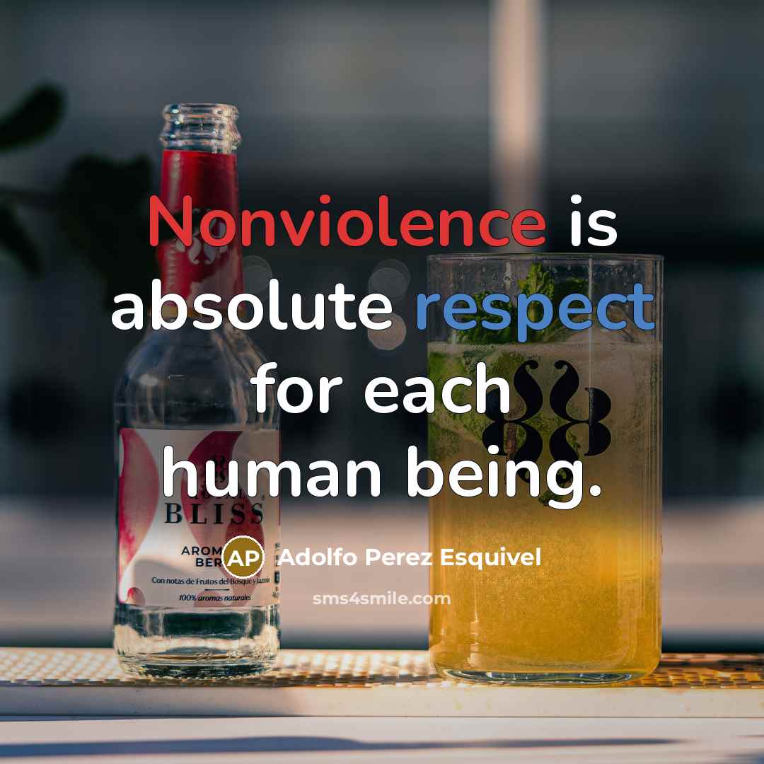 “Nonviolence is absolute respect for each human being.” quote by Adolfo Perez Esquivel